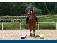 Monatlich Intensivtraining Reitunterricht Springen blau-gelb uvm. Baden-Württemberg - Rot an der Rot Vorschau