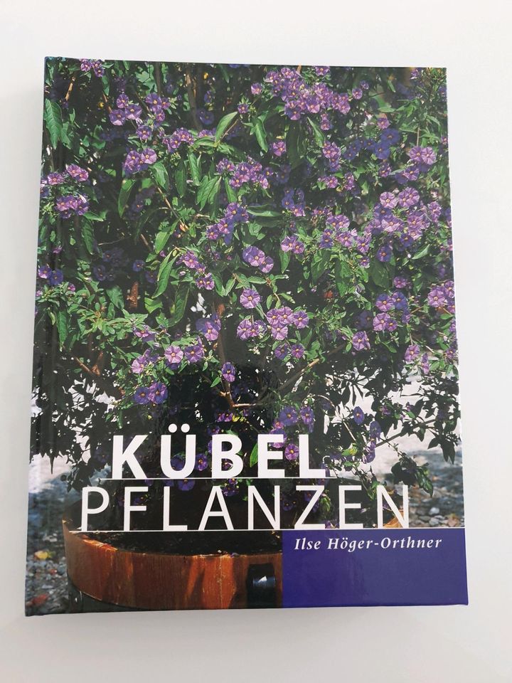 Buch Kübel Pflanzen Ilse Höger-Orthner in Rheinböllen