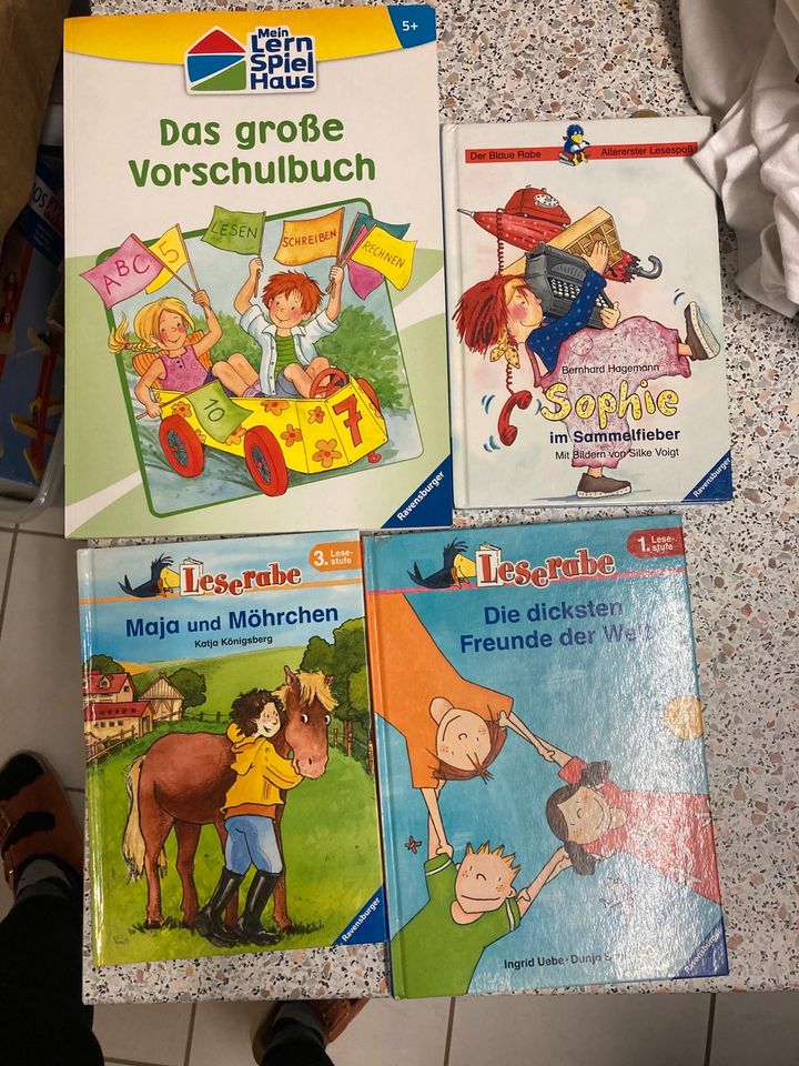 Ravensburger, XXL, Terzio, Oetinger Kinderbücher in Dreieich