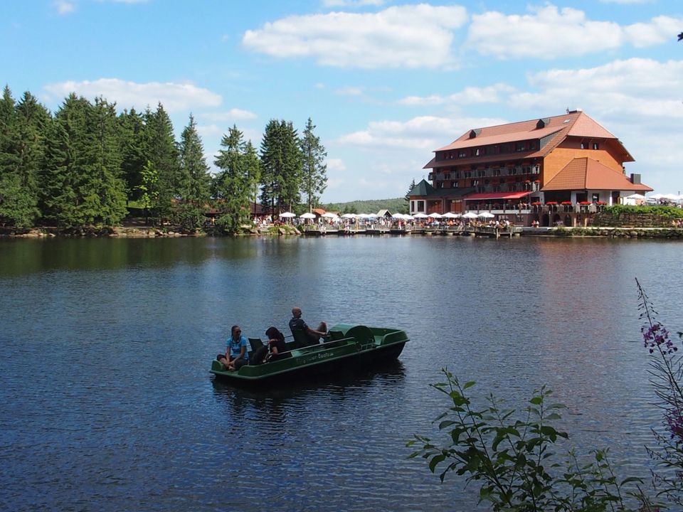 Ferienhaus im Schwarzwald - Ferienwohnungen, Alleinlage, Natur in Oppenau