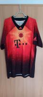 Bayern München Trikot, Gnabry "22", XL,  Limited Edition Müritz - Landkreis - Penzlin Vorschau