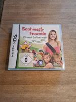 Nintendo DS Spiel "Sophies Freunde Einmal Lehrer sein" Niedersachsen - Hechthausen Vorschau