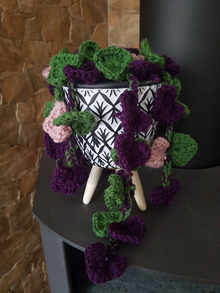 Zimmerpflanze crochet cozy Amigurumi Leuchterblume im Topf in Hessisch Lichtenau