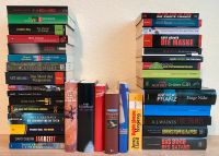 Diverse Bücher Romane Thriller Niedersachsen - Ganderkesee Vorschau