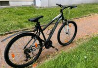 Verkauf Fahrrad Nordrhein-Westfalen - Recklinghausen Vorschau