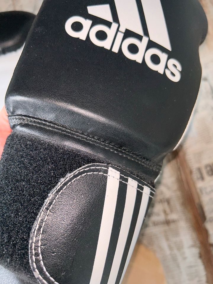 Adidas Boxhandschuhe 12oz in Driedorf