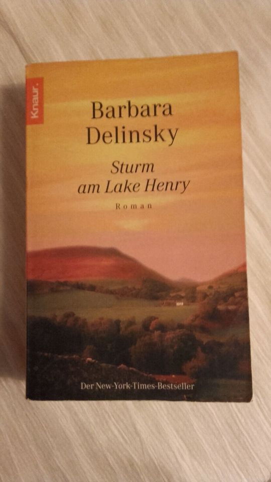 Sturm am Lake Henry - Barbara Delinsky in Bad Langensalza