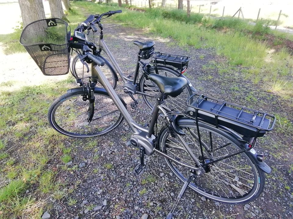 2 E-Bike Kalkhoff in Bad Neuenahr-Ahrweiler