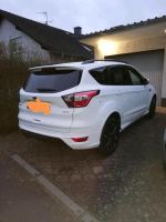 Top Ford Kuga Automatik ST Line 4x4 Eco Boost 2,0 in Weiß. Hessen - Laubach Vorschau