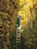 Hausmeister, Allrounder, Immobilienservice, Gartenpflege Schleswig-Holstein - Heikendorf Vorschau