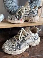 Adidas Gr.40 Brandenburg - Panketal Vorschau