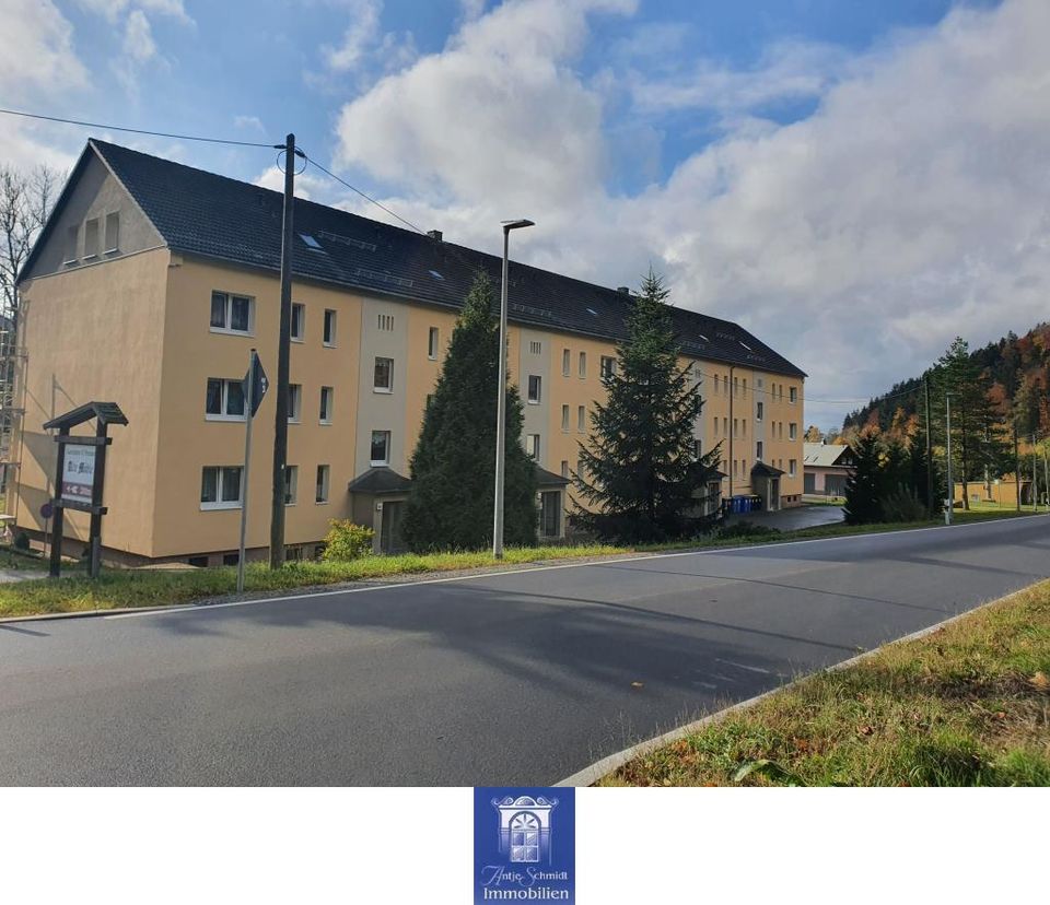 Wunderschönes, idyllisches Wohnen mit Balkon in herrlicher Umgebung! in Rechenberg-Bienenmühle