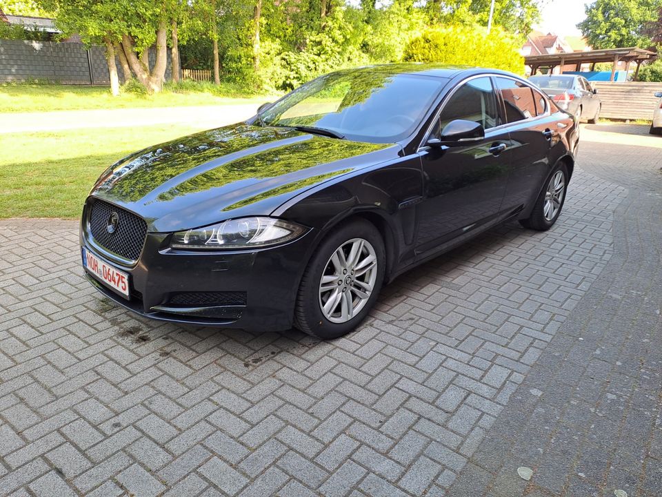 Jaguar XF  + Neue TÜV in Lohne