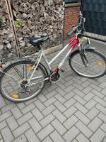 Fahrrad Herren 26Zoll Nordrhein-Westfalen - Hamm Vorschau