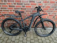 Scott E-Mountainbike Aspect e Ride 920 Nordrhein-Westfalen - Korschenbroich Vorschau