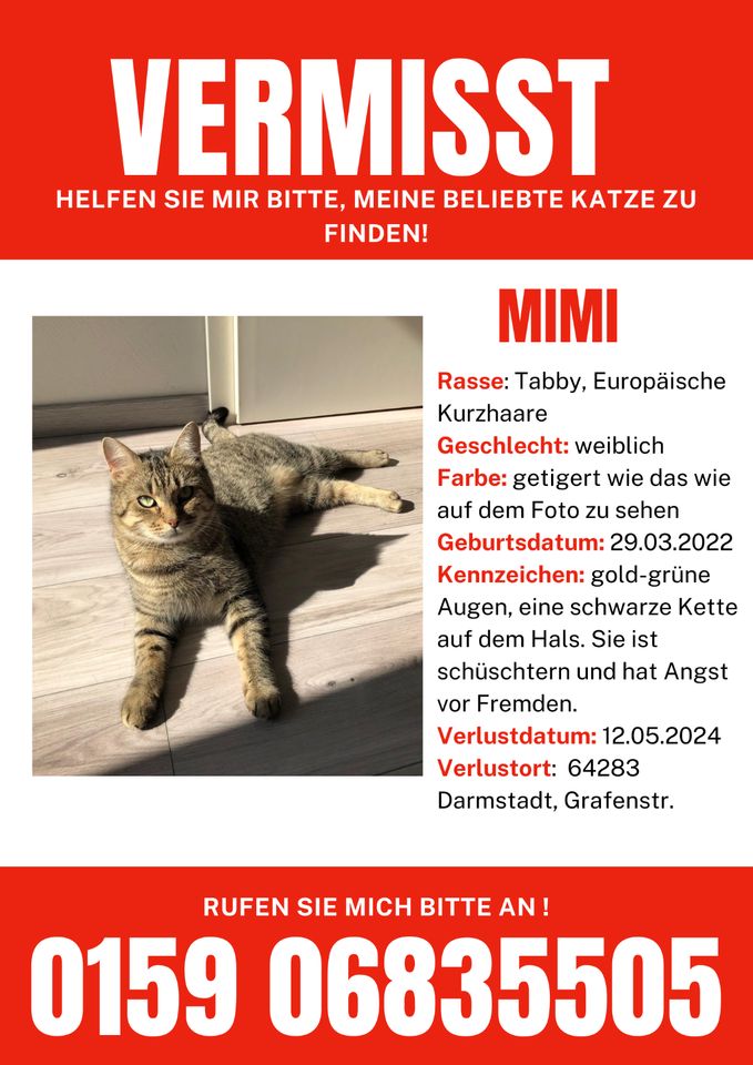GESUCHT vermisst getigerte Katze in Darmstadt