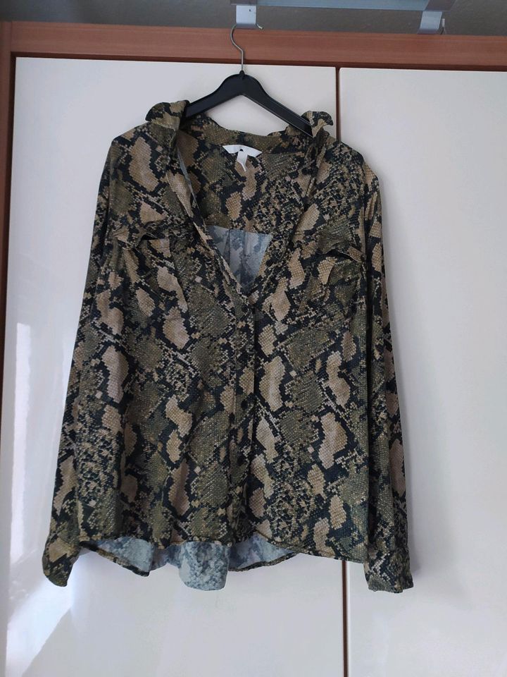 H&m Bluse top Schlange Muster Print grün langarm Schlangenmuster in Bayern  - Augsburg | eBay Kleinanzeigen ist jetzt Kleinanzeigen