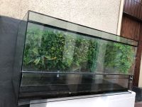 Terrarium 120x60x60cm Schildkröten Terrarium Aqua Teil Hessen - Hünfelden Vorschau