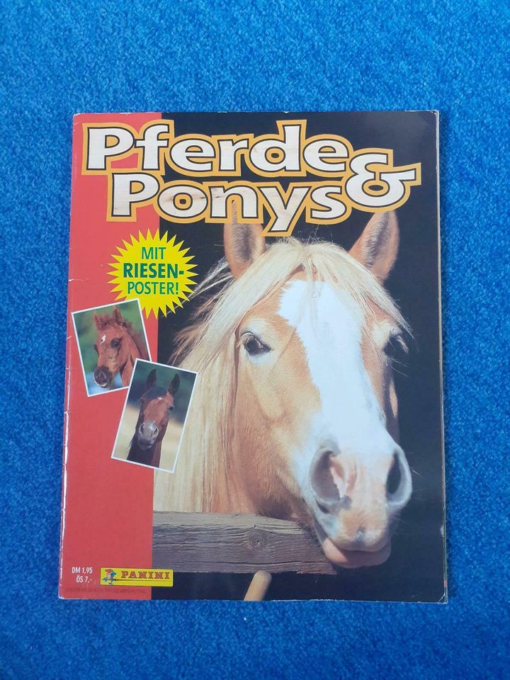 Panini Pferde & Ponys Sammelalbum in Rockenberg