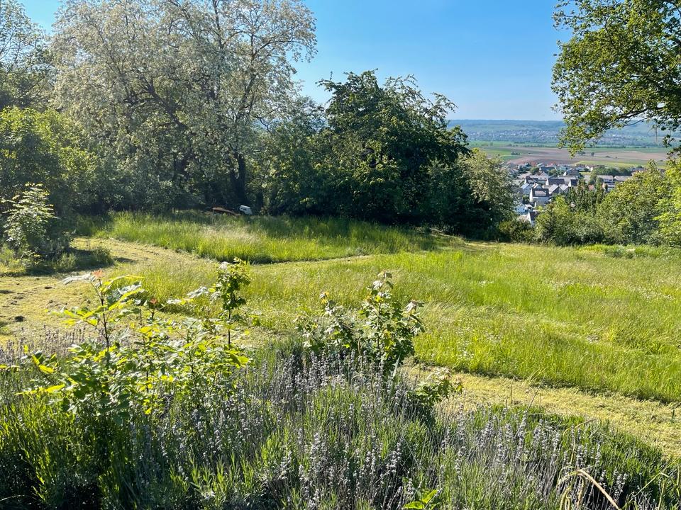Freizeitgrundstück Garten Wochenendgrundstück Stückle zu verkaufe in