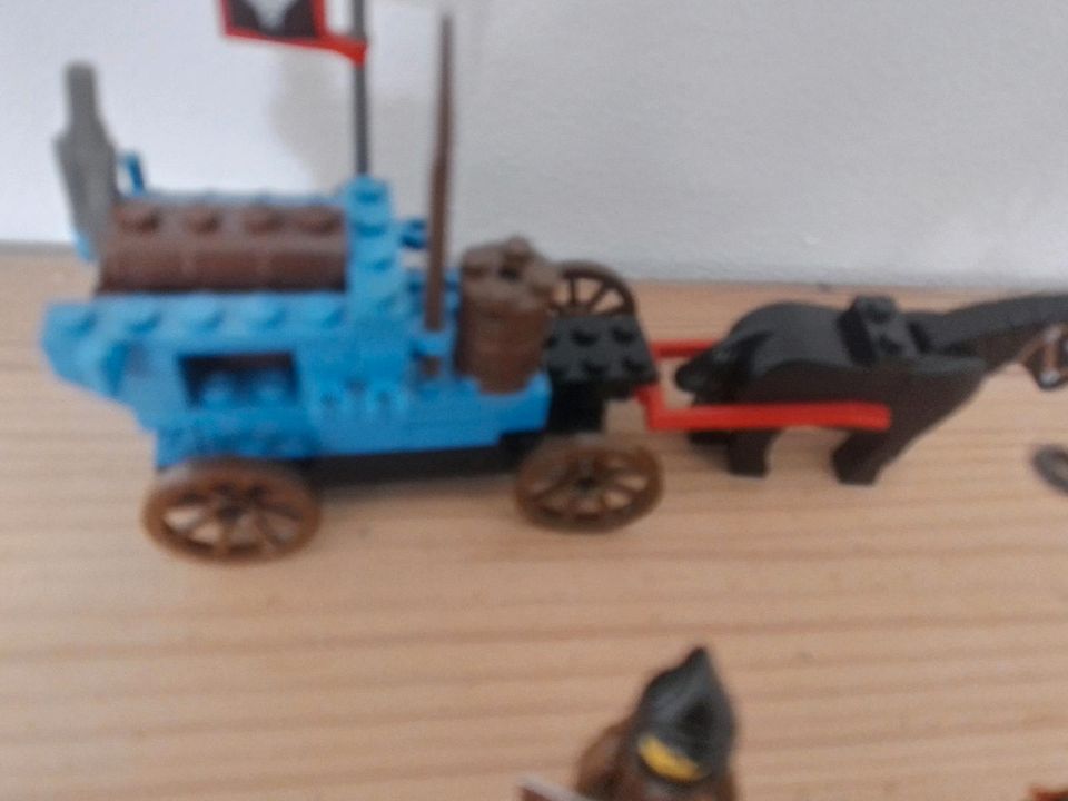 Lego 6038 Wolfspack, Kutsche in Kinderhaus