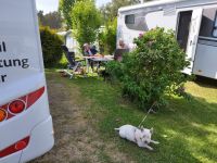 Wohnmobil mieten mit Hund Hessen - Fritzlar Vorschau