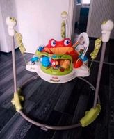 Jumperoo Fischer Price Nordrhein-Westfalen - Gronau (Westfalen) Vorschau