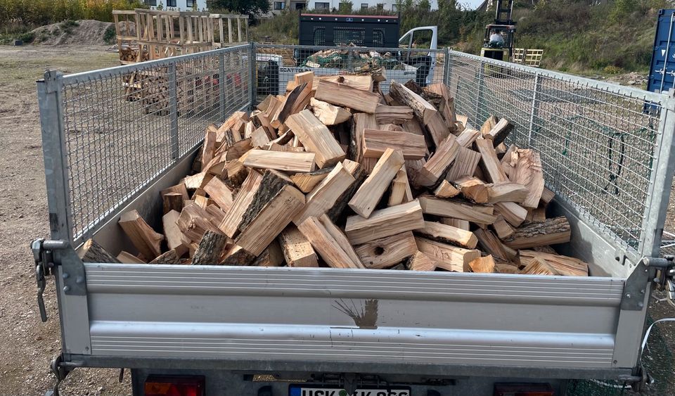 Buche Kaminholz Brennholz, kammergetrocknet und gespalten. SELBSTABHOLUNG ab sofort möglich! in Kamp-Lintfort