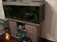 Juwel Aquarium rio 240 incl Unterschrank buche Niedersachsen - Hann. Münden Vorschau