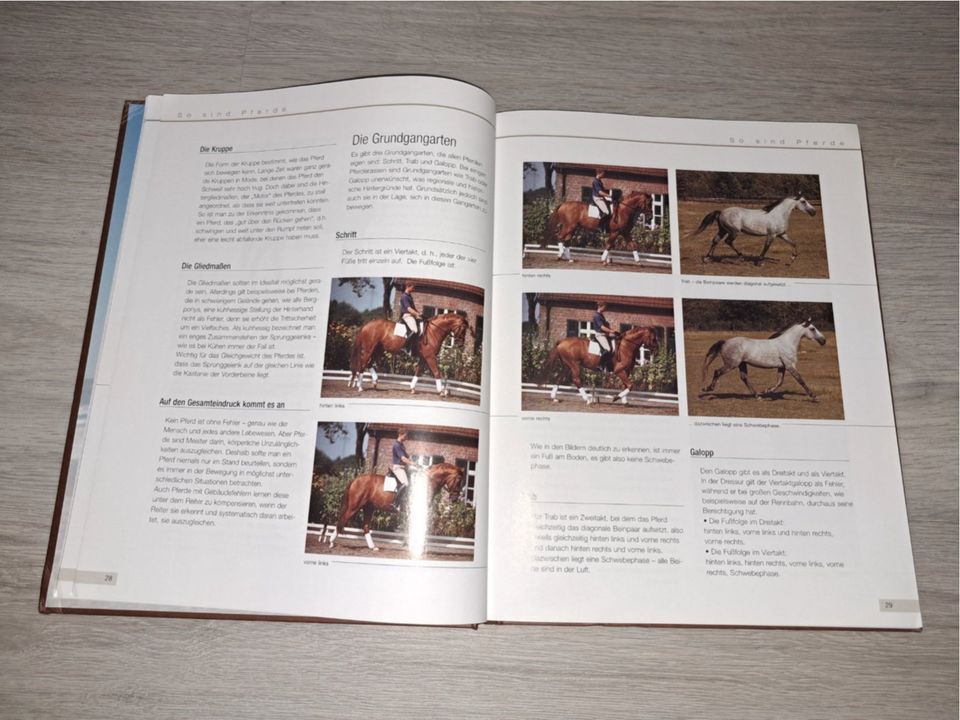 Buch "Pferde - Mit der Mähne im Wind" in Wunstorf