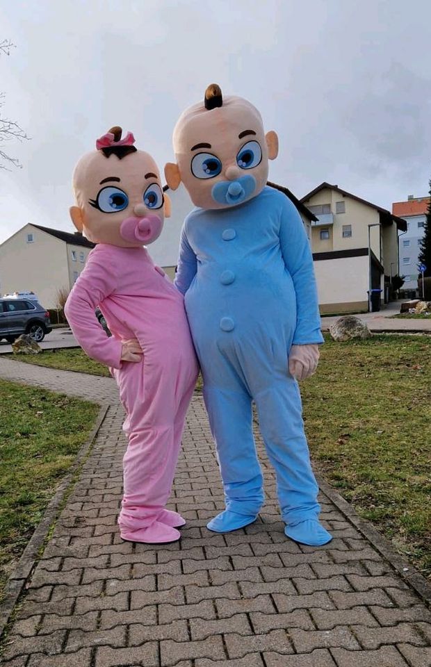 Maskottchen Babys/Kostüme  Gender Reveal Party.Verleih nur 35 €. in Ehingen (Donau)