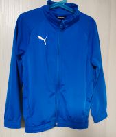 Puma Sportjacke 128 Baden-Württemberg - Schramberg Vorschau