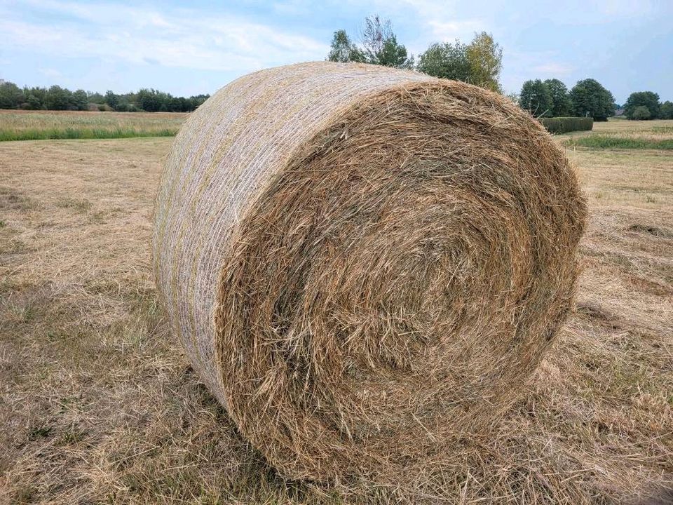 Heu Rundballen 130cm 300Kg Bio ungedüngt 2023 PFERDE Fendt 211 in Hoyerswerda