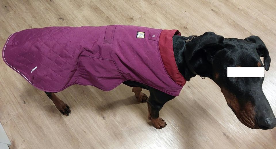 Ruffwear Hundemantel Overcoat Utility Jacket rot Größe L in Meppen