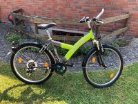 Herren- und Jugendfahrrad Panther Gr.26 Nordrhein-Westfalen - Herford Vorschau