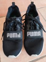 Puma Schuhe Größe 42 Bayern - Oberasbach Vorschau