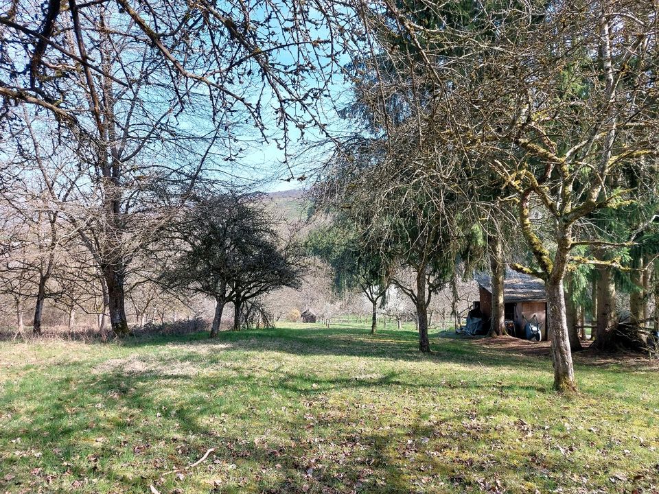 Gartengrundstück mit Hütte, 1200qm, Weiler bei Schorndorf, VB in Baden