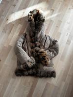 Moncler Pufferjacke mit Kapuze Nordrhein-Westfalen - Senden Vorschau