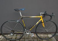 Koga Miyata Roadwinner Rennrad Gr M RH 54cm Shimano 600 53 55 München - Altstadt-Lehel Vorschau