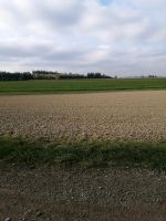 Suche landwirtschaftliche Flächen zu pachten oder zum bewirtschaf Bayern - Mitterskirchen Vorschau