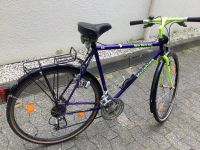 Fahrrad Morishima New Wave 500 Hessen - Bad Soden am Taunus Vorschau