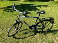 Raleigh Rochester Herrenrad Brandenburg - Meyenburg Vorschau