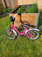 Kinderfahrrad Sachsen - Arnsdorf Vorschau