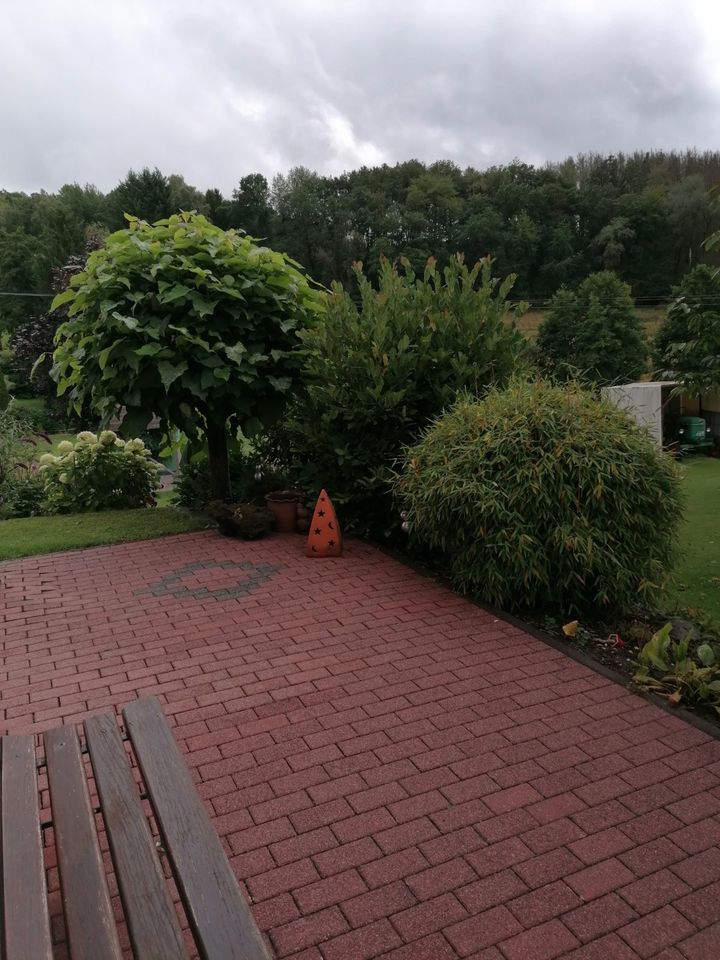 Ferienwohnung "Auszeit" im Westerwald in Rodenbach b. Altenkirchen, Westerwald