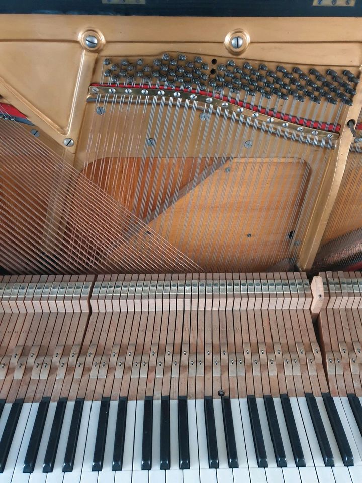 Klavier Piano schwarz in Magdeburg