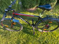 Fahrrad/MTB Trek  Xcaliber Bayern - Neuburg a.d. Kammel Vorschau