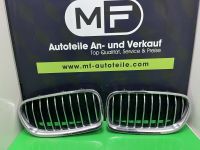 Bmw 5er F10 F11 Stoßstange Grill Kühlergrill Gitter Nieren Eimsbüttel - Hamburg Stellingen Vorschau