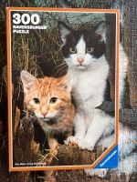 Ravensburger Puzzle 300 Teile Katzen im Heu 130108 Sachsen-Anhalt - Barleben Vorschau