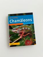 Ihr Hobby Chamäleons Buch Wie neu Nordrhein-Westfalen - Jülich Vorschau