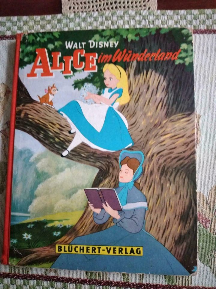 Kinderbücher  Mecki und Alice im Wuderland in Schönberg (Mecklenburg)